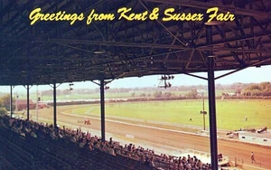 Greeting from Kent and Sussex Fair Grandstand Track Harrington Delaware Postcard - Picture 1 of 2