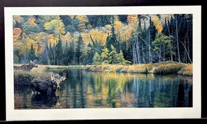 Brent Townsend Limited Edition Signed Print “Hailstorm Creek” Moose - Picture 1 of 1