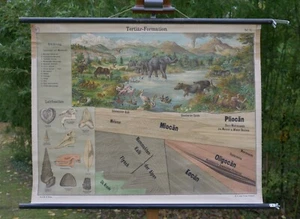VINTAGE | SCHULWANDKARTE TERTIÄR-FORMATION MIOCÄN ZEIT| SCHOOL WALLCHART - Bild 1 von 14