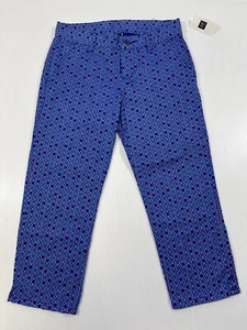 Gap Kids Girls Blue White 97% Cotton Skinny Flat Front Ankle Pants 10 Regular  - Picture 1 of 9