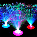 Multicolor Led Fiber Optic Lamp Light Holiday Wedding Centerpiece Fiberoptic LED