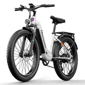 Ebike 26" Bicicletta Elettrica 1000W 48V Mountain Bike 48V 17.5Ah 25km/h - Foto 1 di 23