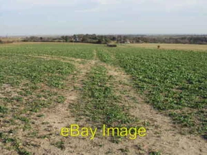 Photo 6x4 View across the fields to Northbourne Betteshanger c2008 - Picture 1 of 1