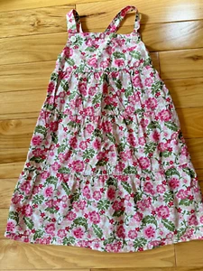 Vestido Baby Gap Niñas Sin Mangas Niñas Rosa Estampado Floral En Niveles En Capas 4T - Imagen 1 de 6