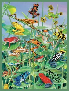 SunsOut Jigsaw Puzzle;  Jungle Gym;  500 pieces - Picture 1 of 1