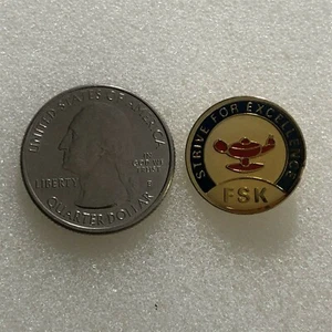Pinback FSK Strive For Excellence Premio Educación Escolar #36773 - Imagen 1 de 2