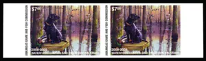 AR28P — 2008 Arkansas imperforate pair - Picture 1 of 1