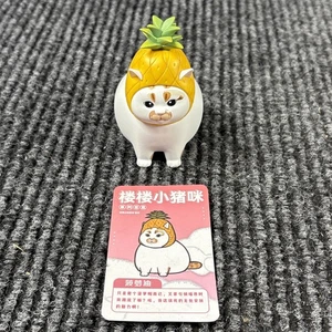 LouLou Schweinchen Katze? Fat Cat Vinyl Figur Blindbox Serie 1 Bilizoo Toys Ananas - Bild 1 von 4