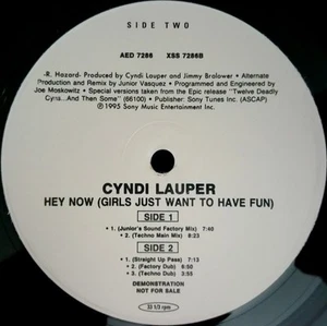 Cyndi Lauper, Hey Now (Girls Just Want To Have Fun), (12", Promo), VG, 361473607 - Picture 1 of 3