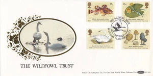 (99994) Linnean Society Benham BLCS29 FDC Wildfowl Trust Swan Lake Arundel 1988 - Bild 1 von 1