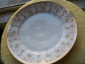 SIX T & V Limoges France 9 1/2" PLATES  Taupe Hanging Roses TRV73  GOLD  EDGES - Picture 1 of 4