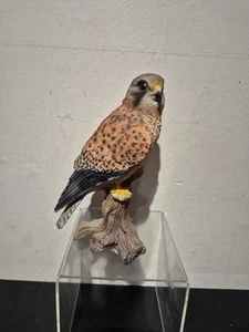 Vivid Arts "Real Life Birds" Turmfalke für drinnen und draußen (D5) - Bild 1 von 11