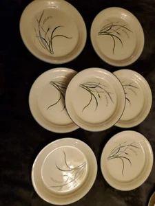 7 CORELLE Coastal Breeze Blue Green Wheat Grass 8 1/2" Luncheon Plates ( Bin 56 - Picture 1 of 11