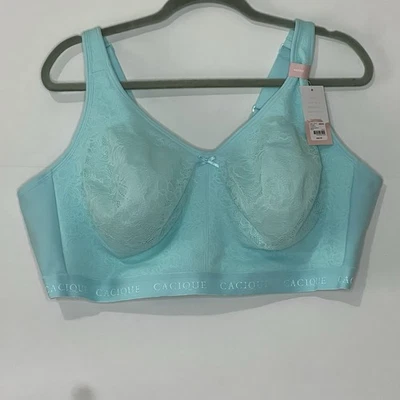 Nuevo con etiquetas Sujetador Cacique Talla 48DDD Sin Forro Cobertura Completa Sin Alambres Encaje Verde Foto 1 de 4
