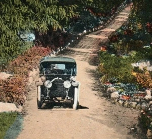 Antique White Wheel Car And Driver On Road Surrounded By Garden Vintage Postcard - Picture 1 of 3