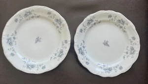 2 Vintage Johann Haviland Bavaria Germany 6 1/8” Bread Butter Plates MINT! - Picture 1 of 6