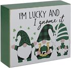 I'm Lucky Gnome St. Patrick's Day Wood Table Decoration Home Decor Holiday Gift