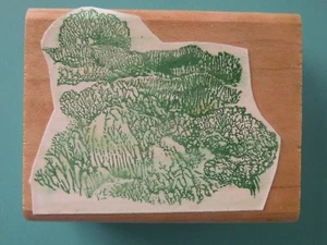 Wiesenlandschaft Szene, detailliert 100 PROOF PRESSE Gummistempel Gräser - Bild 1 von 2