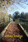 Photo 6X4 Footbridge Across The Little Ouse Thetford/Tl8783 Autumn Leave C2008