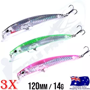 3x 120mm Diving Trolling Bait Hardbody Fishing Lure Tuna Kingfish Minnow Xrap - Picture 1 of 1