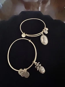 Alex and Ani Bracelet Set Expandable Bangle Bracelet Pineapple - Picture 1 of 6