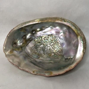 7.5" Abalone Shell Smudge Bowl Sage Dish Abalone Dish Decor Smudge Tools - Picture 1 of 8