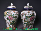 98 Qianlong Famil Rose Porcelaine Pivoine General Pot Paire