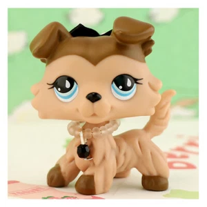 Little Pet Shop LPS Collie #893 Bronceado Perro y Lindos Accesorios Niños Regalo Animal Juguete - Imagen 1 de 8