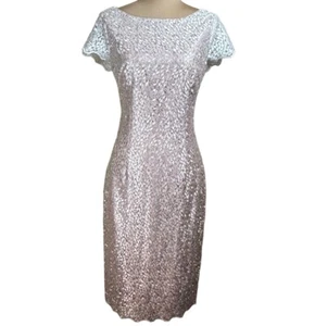 Eliza J Kleid Damen Gr. 10 Glitzer Spitze Etui Cocktail Schimmer Rosa Neu mit Etikett NEU - Bild 1 von 13