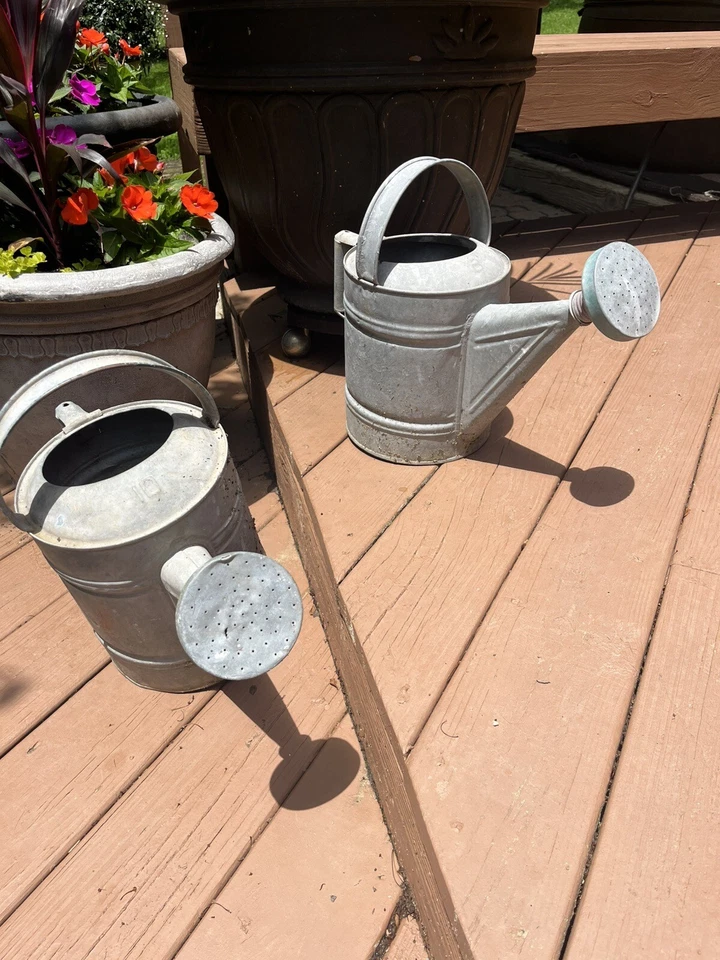 Lot Of Two Vintage Watering Cans Galvanized Metal Double Handle & Sprinkler Head - Image 1 of 4