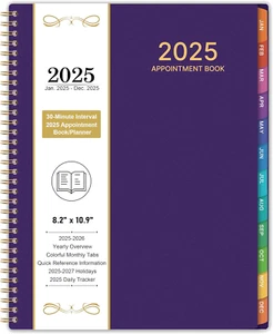 2025 Daily Planner - 8.2" x 10.9", Hourly Schedule with Monthly Tabs - Picture 1 of 9