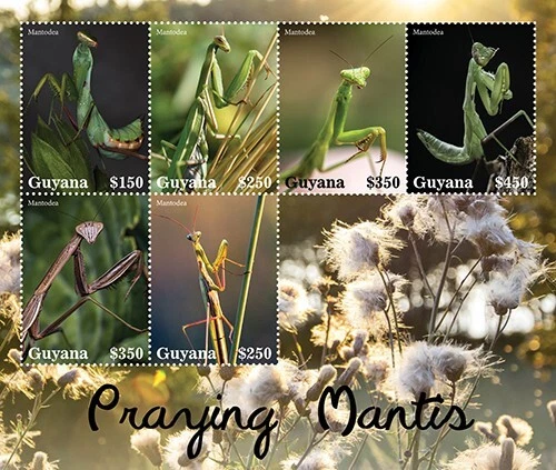 Guyana 2021 - Praying Mantis Insects - Sheet of 6 Stamps - Scott #4678 - MNH - Image 1 of 1