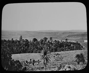 Magische Laterne Dia Ansicht von Popotunoa Hill um 1895 viktorianisches Foto Neuseeland  - Bild 1 von 3