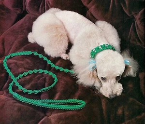 Rare Dog Leash & Collar Patterns - Craft Book: #905 Macrame for Ages 8 and Up 2 - Picture 1 of 8