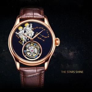 AESOP Man's Watch Tourbillon Mechanical Wristwatches Gemini Dial Waterproof - Picture 1 of 16