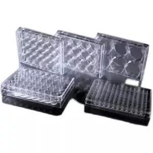 10PCS FOR NEST 6/12/24/48 Well Cell Culture Plate Flat Bottom TC 703001/712001 - Picture 1 of 3