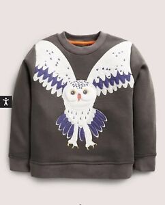 NWT Mini Boden Owl Appliqué Sweatshirt