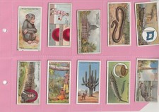 WILLS'S - DO YOU KNOW?, 4TH SERIES -1926 - FULL SET IN SLEEVES