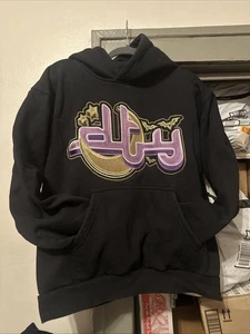 Divide The Youth Mens L Hoodie Pullover Halloween Exclusive Bats Moon 2022 Black - Picture 1 of 4