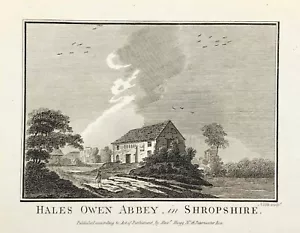 Hales Owen Abbey Shropshire 1795 Original engraved View on hand laid paper - Picture 1 of 4