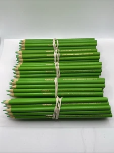 (100) Crayola Colored Pencils  (granny smith apple) BULK - Picture 1 of 1
