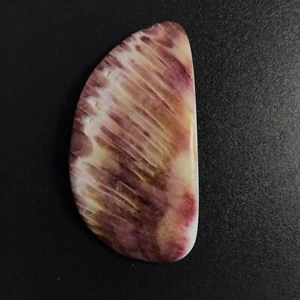 1 pieza - Cáscara de ostra espinosa púrpura natural losa 1, NUEVA venta hágalo usted mismo rara - Imagen 1 de 7