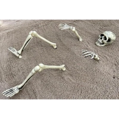 DEKO SKELETT MENSCH KNOCHEN SET Halloween Karneval Dekoration Totenkopf Schädel - Bild 1 von 3