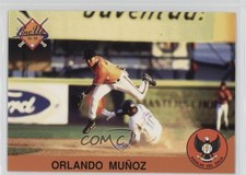 1994-95 Line Up Venezuelan Winter League Orlando Munoz #231