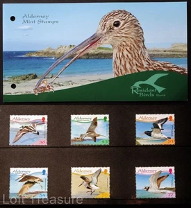 Francobolli Alderney: Confezione Presentazione "Resident Birds Part 4 - Waders" 2009 - Foto 1 di 5