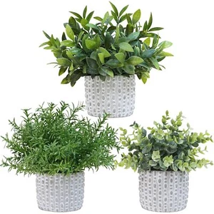3PCS Potted Artificial Eucalyptus Plants Faux Rosemary Greenery for Shelf Decor - Picture 1 of 9