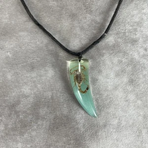 Necklace / Choker Real Brown Scorpion-Encased Pendant in Blue Tooth-shaped - Picture 1 of 11