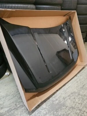 Nuevo capó original despegue para Ford Super Duty 2023 F250 F350 negro ágate Foto 1 de 4