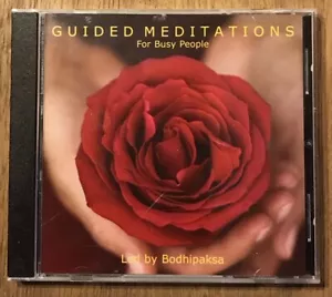 Guided Meditations for Busy People by Bodhipaksa and Bodhipaksa Wildmind (2005, - Picture 1 of 2