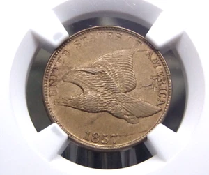 1857 Flying Eagle Cent *PLANCHET FLAW* 1c NGC UNC Details #008 Unc ECC&C, Inc. - Picture 1 of 6